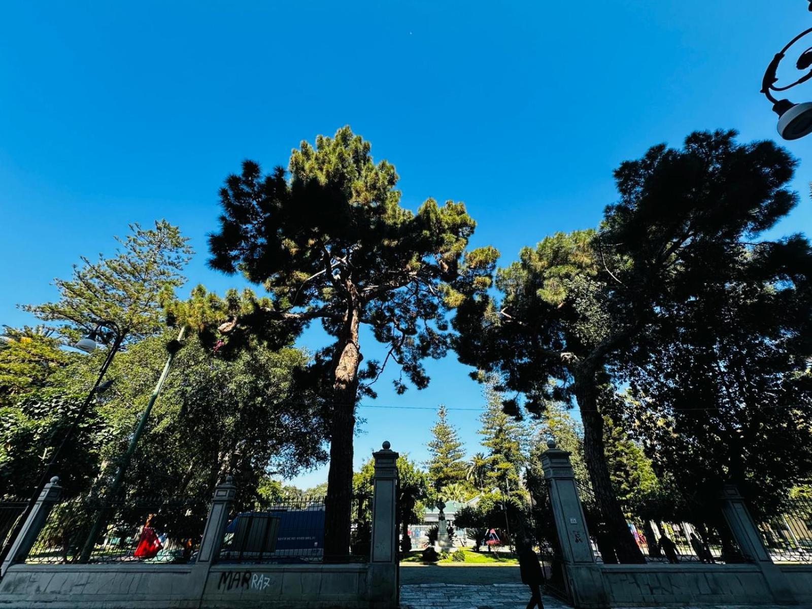 Sunset Bed and breakfast Reggio Calabria